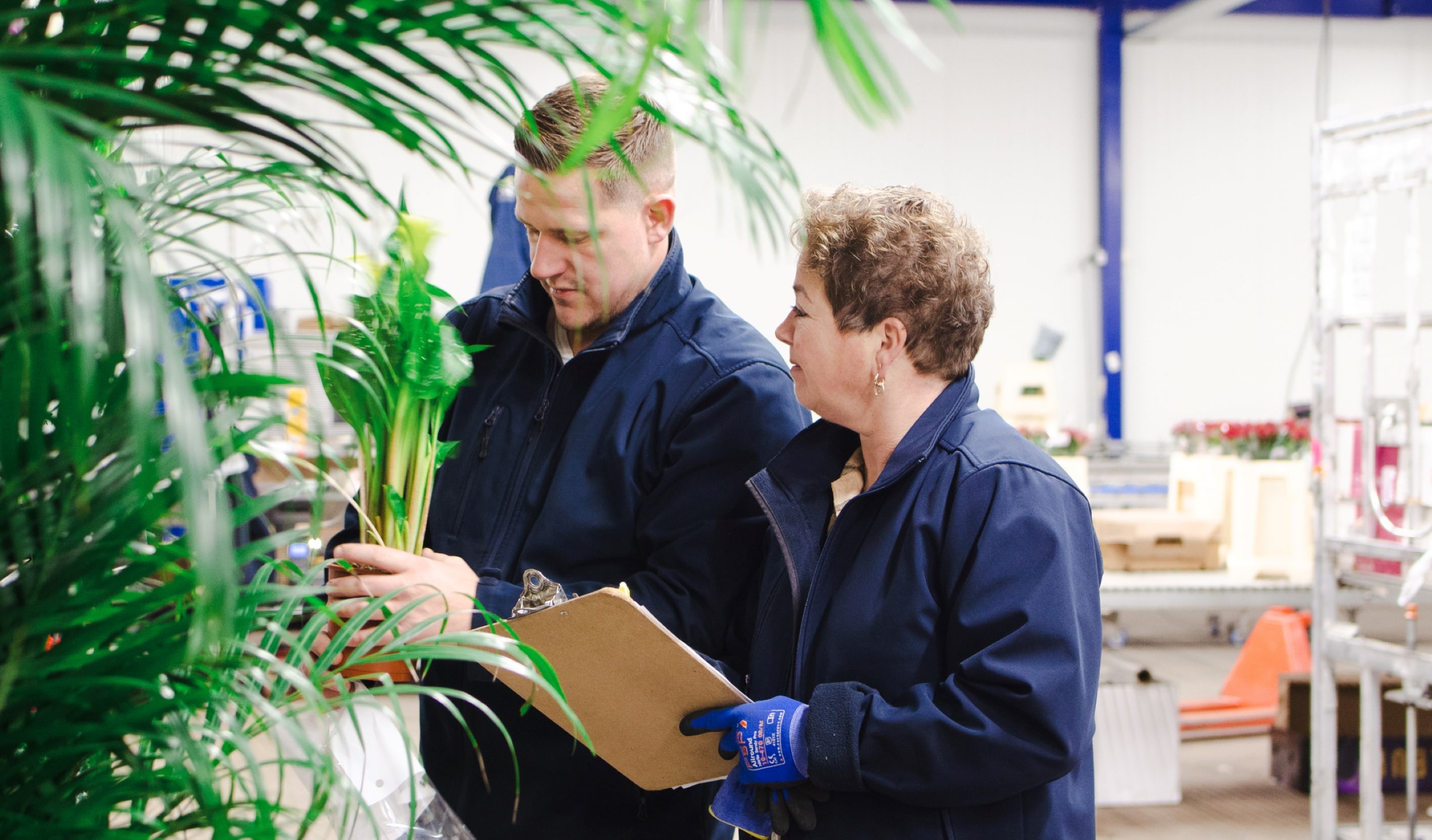 Vianen Flowers 21_2-min